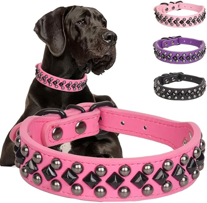 Dog Collars for Small Dogs