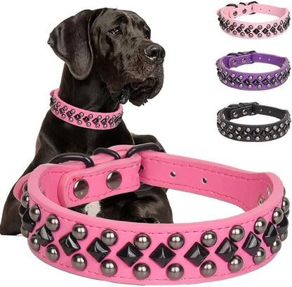 Dog Collars for Small Dogs