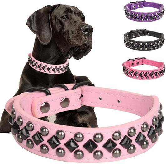 Dog Collars for Small Dogs