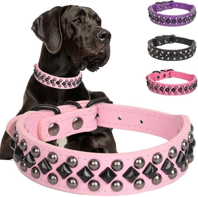 Dog Collars for Small Dogs