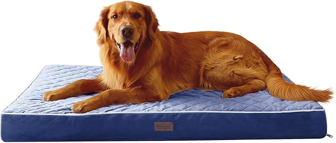 SunStyle Home Orthopedic Dog Beds for XX-Large Dogs