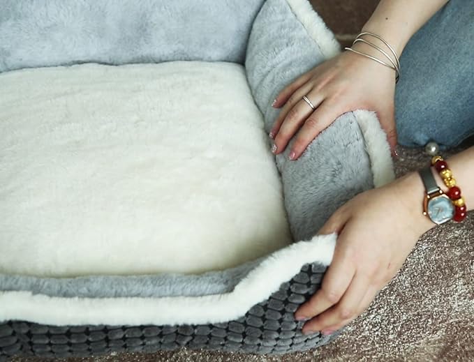 Dog Beds for Two Small Dogs