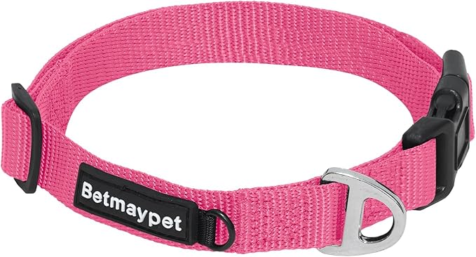 Dog Collar