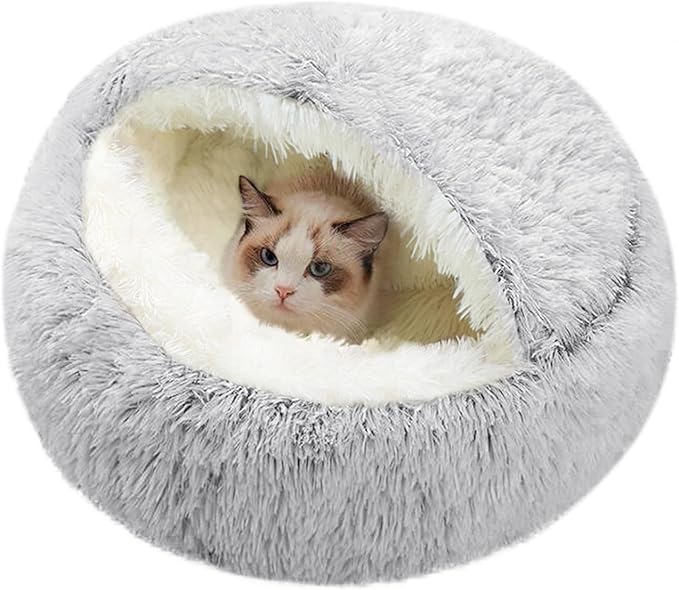 Cat Bed