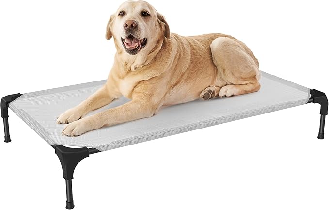 Cooling Elevated Dog Bed