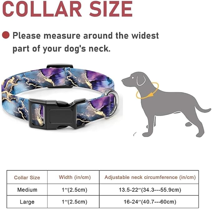 Dog Collar