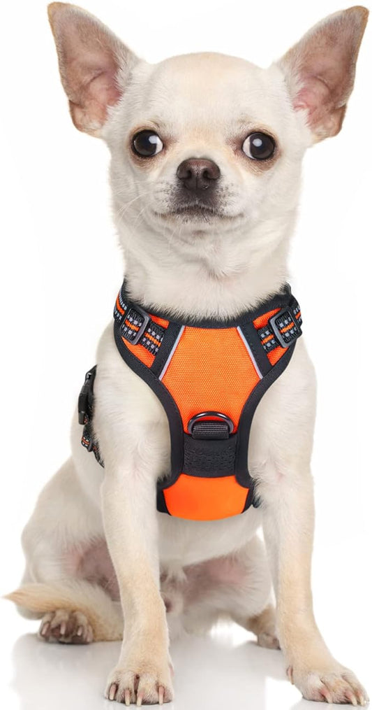 rabbitgoo Dog Harness, No-Pull Pet Harness with 2 Leash Clips, Adjustable Soft Padded Dog Vest, Reflective No-Choke Pet Oxford Vest with Easy Control Handle for Small Dogs, Orange,XS