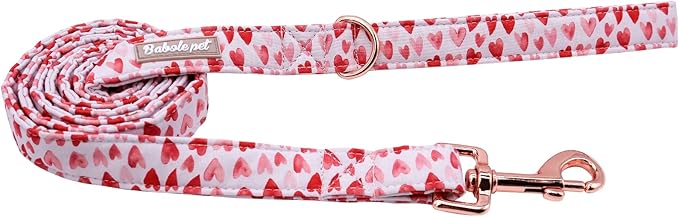 Valentine's Day Dog Leash Durable Handmade Dog Leashes 150cm