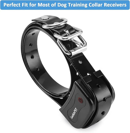 Replacement Collar Strap 3/4',Adjustable,Metal Buckled,Waterproof Pack2)