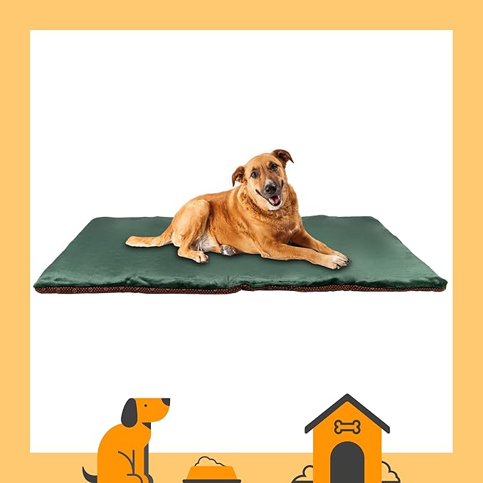 Dog Mat 27.5 x 39.3 in