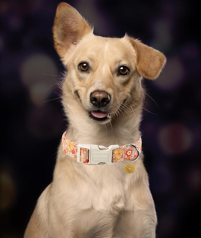 DOGWONG Fall Flower Dog Collar- Cute Flower Dog
