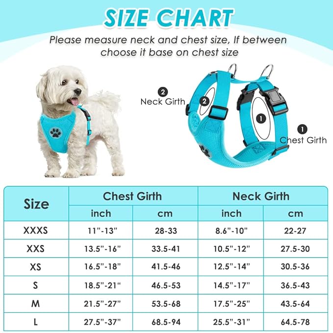 SlowTon Dog Seat Belt Harness for Car, Dog Car Harness Adjustable Mesh Breathable & Dog Seatbelt Safety Tether with Elastic Bungee for Small Medium Large Pets(Light Blue, Double Clip, M)