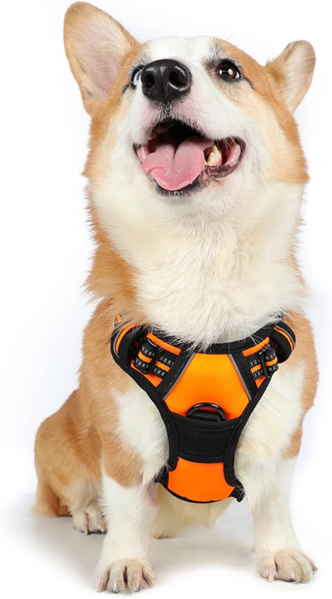 rabbitgoo Dog Harness,No-Pull Pet Harness with 2 Leash Clips,Adjustable Soft Padded Dog Vest,Reflective No-Choke Pet Oxford Vest with Easy Control Handle for Medium Dogs,Orange, M