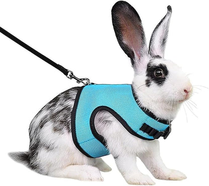 Ferret Harness and Leash Set, Guinea Pig Hamster Leash Young Rabbit Bunny Vest Mesh Eescape Proof Walking Training for Rat Hamster Squirrel Small Animal Pets Harness,Blue M