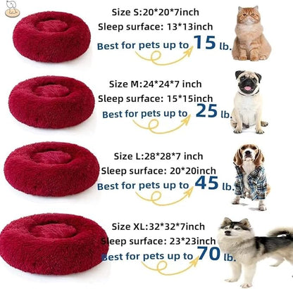 Cat Beds for Indoor Cats 24 inches,