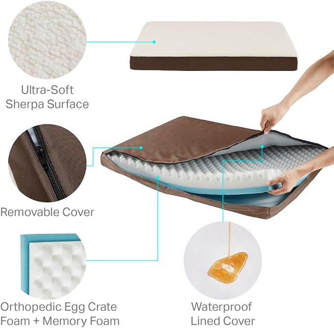 Friends Forever Orthopedic Dog Bed 30x20x3