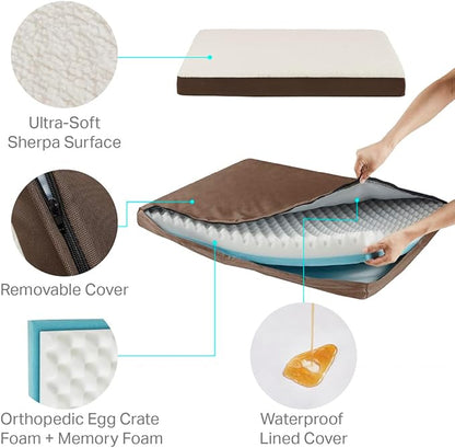 Friends Forever Orthopedic Dog Bed 36x27x3