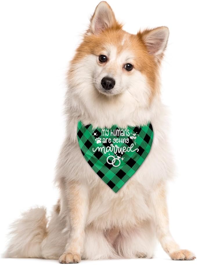 My Humans are Getting Married Dog Bandana (C52)