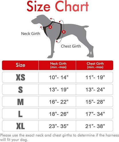 rabbitgoo Dog Harness 2 Leash