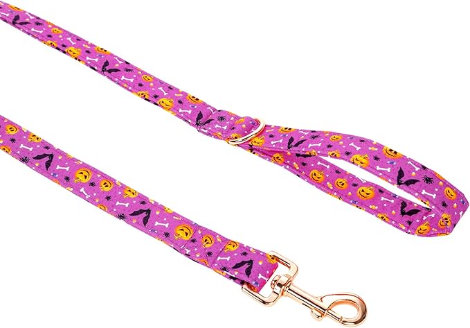 Halloween Dog Leash Durable Handmade Dog Leashes 150cm
