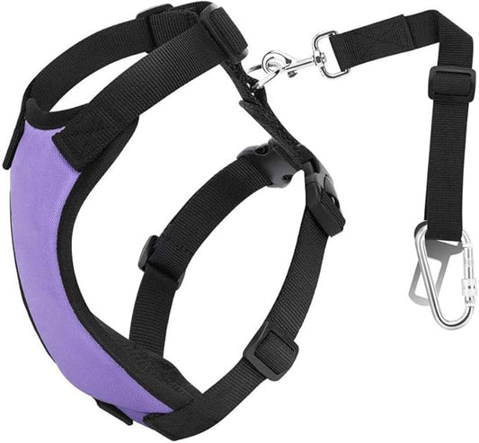 Dog Vehicle Safety Vest Harness