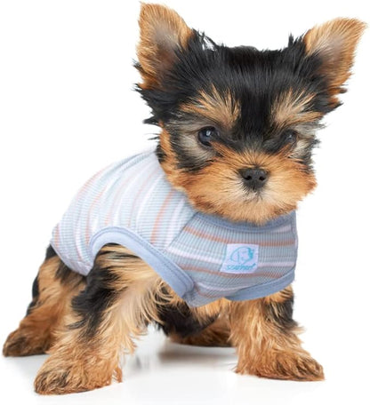 Striped Teacup Pet Dog T-Shirts 100% Cotton