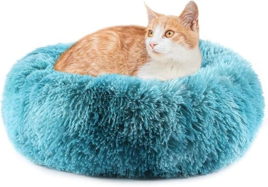 Small Cat Beds for Indoor Cats 16 inches, 5lbs)