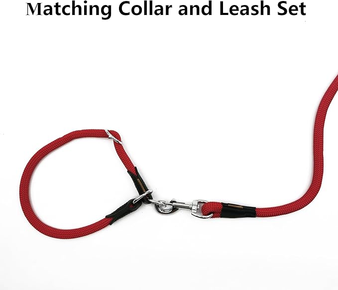Dog Leash ((1/2") - 2FT, Red)