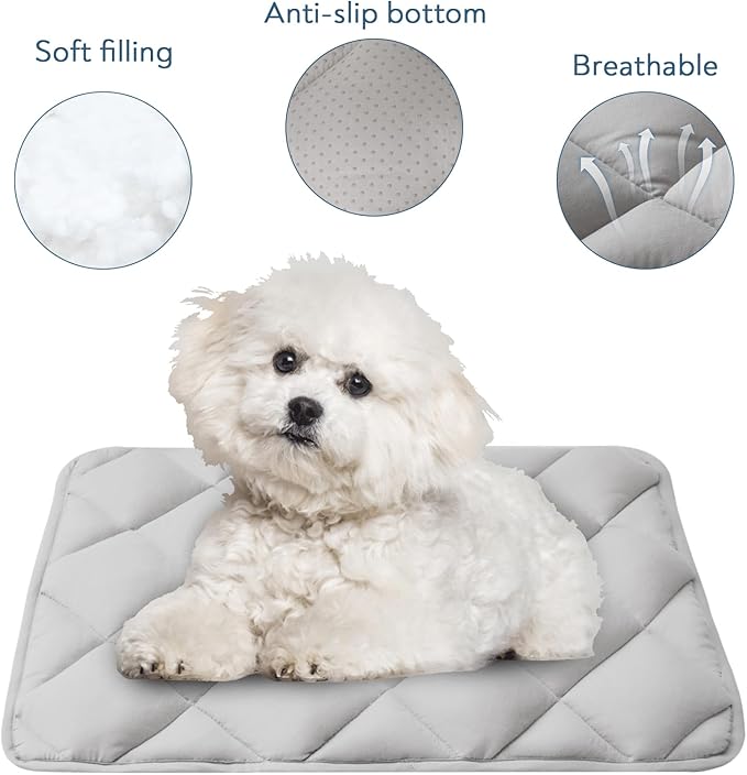 Dog Crate Pad 2 Pack 24 Inch