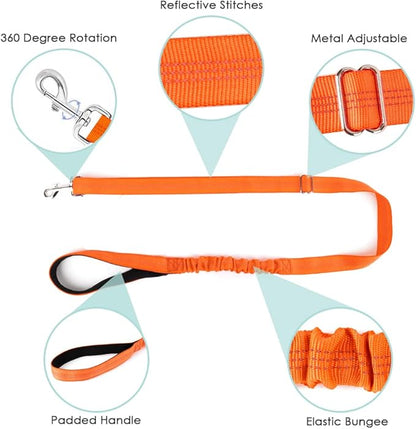 Lukovee Dog Harness and Leash Set, Soft Padded Small Dog Harness, Neck & Chest Adjustable Reflective Vest Puppy Harness with 4ft Lightweight Anti-Twist Dog Leash for Small Dogs (Orange, XX-Small)