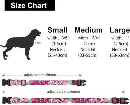 Adjustable Dog Collar with Patterns
