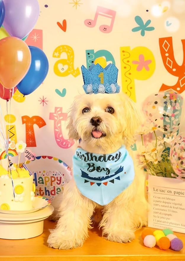Dog Birthday Party Supplies Set,Boy Girls Dog Birthday Bandana,Cute Small dog Birthday Hat,Tutu,Dog Bow Tie Collar with 0-8 Numbers,Birthday Decorations for Cat,Dogs First Birthday(Blue-2,Small)