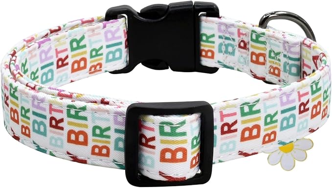 Flower Patterns Dog Collar with Accessories