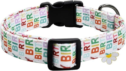 Flower Patterns Dog Collar with Accessories