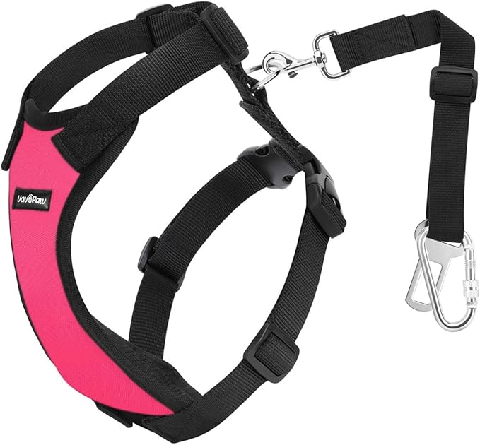 Dog Vehicle Safety Vest Harness, Adjustable Soft Padded Mesh Car Seat Belt Leash Harness with Travel Strap and Carabiner for Most Cars, XXL Size, Magenta