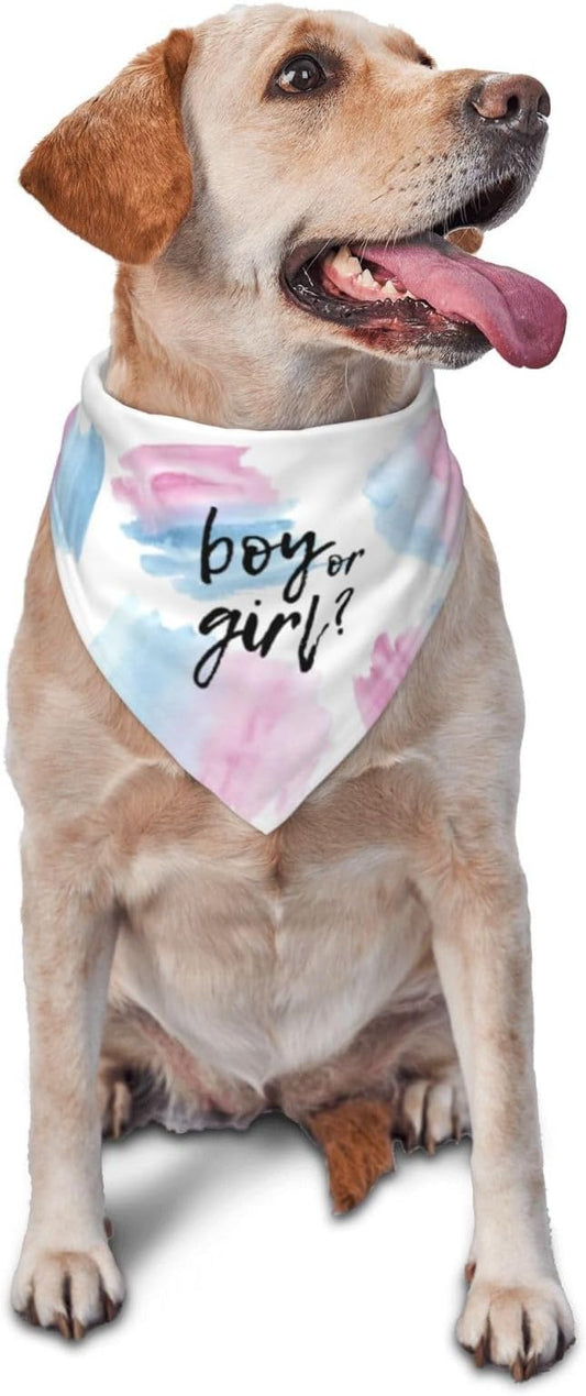 He Or She What Will It Be? Gender Reveal/Baby Announcement Dog Bandana,Pet Neckerchief for Pets Daily Wear Photo Prop Party Supplies (Color Block)