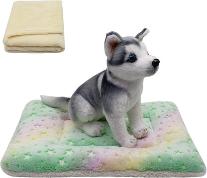 Cat Dog Bed Mat & Blanket