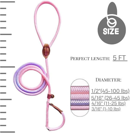 Slip Leads for Dogs (5 Foot 5/16")