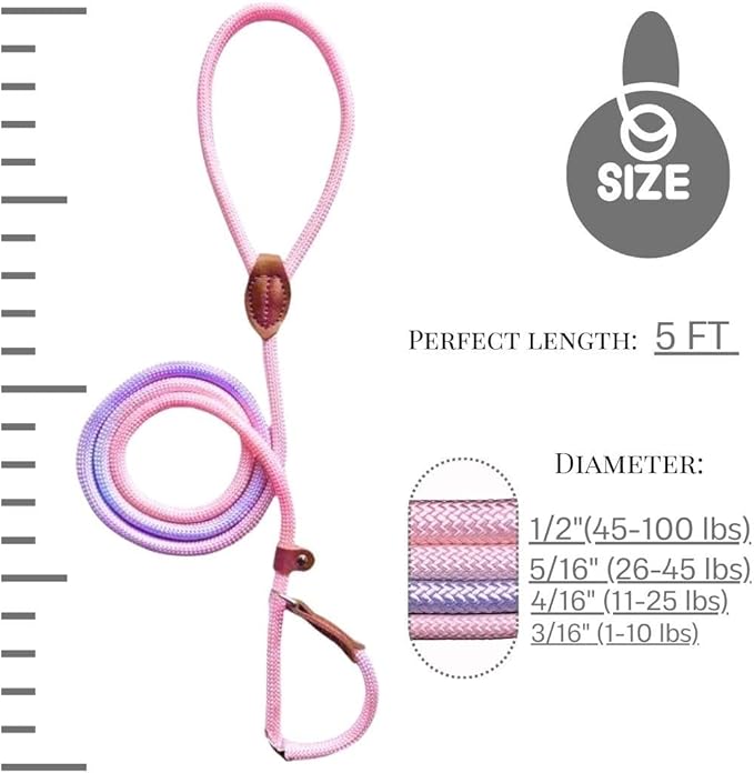 Slip Leads for Dogs (5 Foot 3/16")