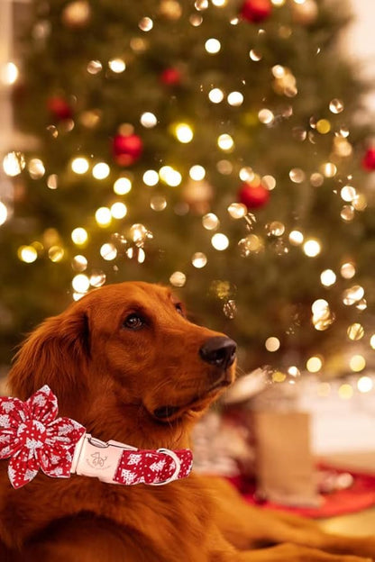 Elegant little tail Christmas Dog Collar