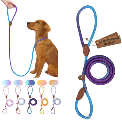 Slip Leads for Dogs (5 Foot 1/2")