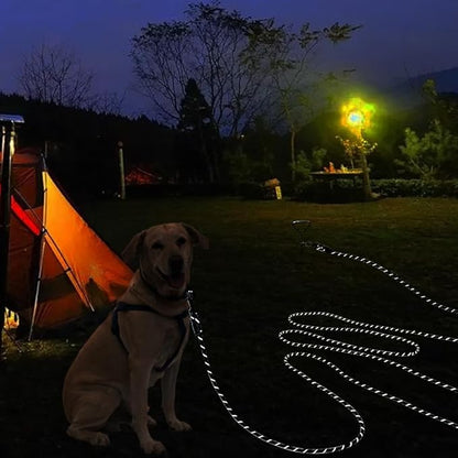 Long Leash for Small Dogs 8FT/12FT/20FT/30FT/50FT/65FT/75FT/100FT Reflective