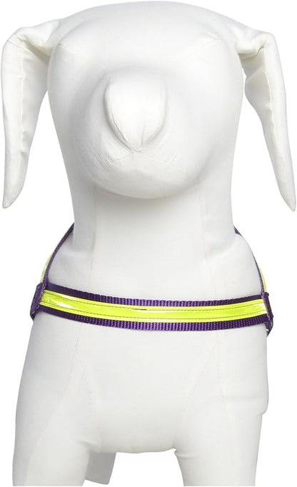 Purple Night Lite Harness