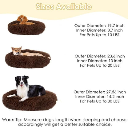 Cat Beds for Indoor Cats