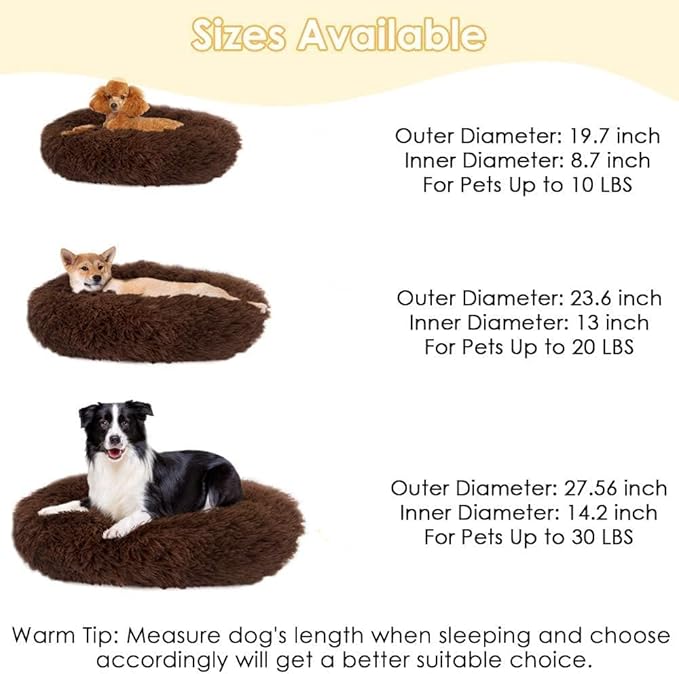 Cat Beds for Indoor Cats