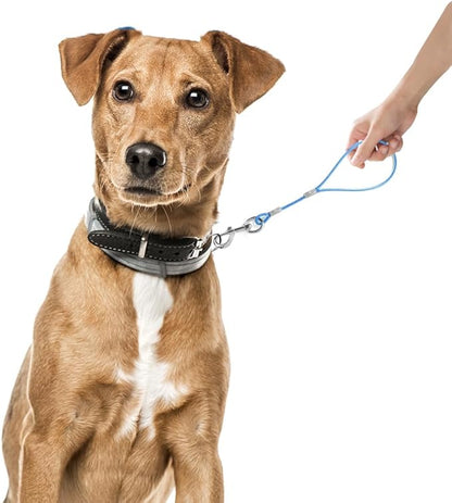 Short Dog Leash Duty-12”/24”Short Chew