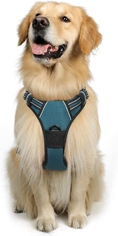 rabbitgoo Dog Harness, No-Pull Pet Harness with 2 Leash Clips, Adjustable Soft Padded Dog Vest, Reflective No-Choke Pet Oxford Vest with Easy Control Handle for Large Dogs, Blue Coral, XL