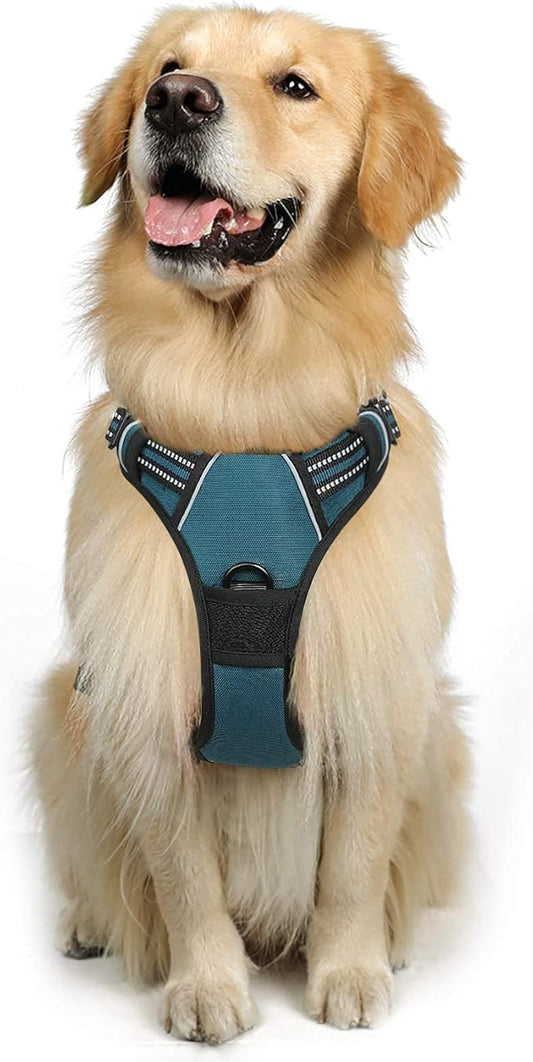 rabbitgoo Dog Harness, No-Pull Pet Harness with 2 Leash Clips, Adjustable Soft Padded Dog Vest, Reflective No-Choke Pet Oxford Vest with Easy Control Handle for Large Dogs, Blue Coral, XL