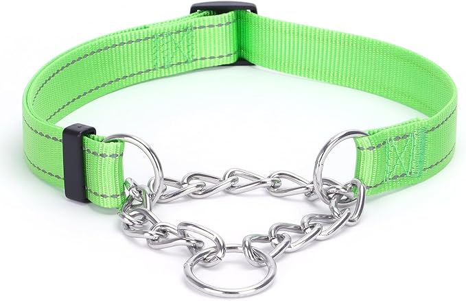Martingale Dog Collar with Stainless Steel Chain and Leash Set 5FT Double