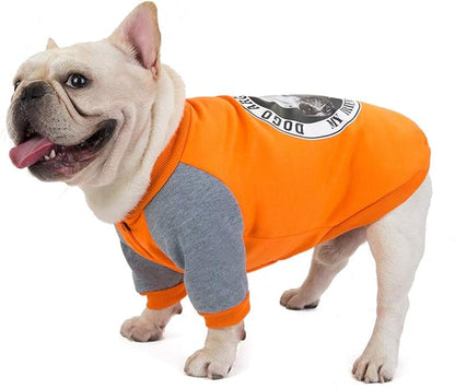 Bulldog Dog Clothes pet Clothes Dog Clothes pet Clothing Dog Clothing Bulldog Sweater (XXL